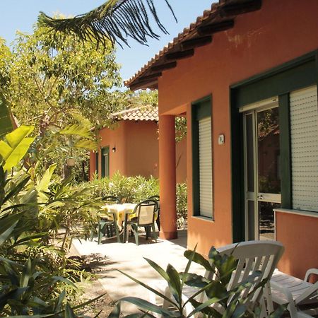 Villa Le Palme Garden à San Giorgio  Extérieur photo