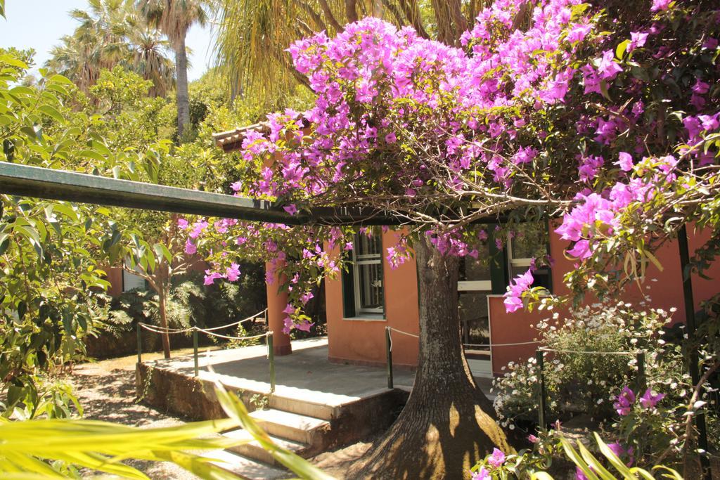 Villa Le Palme Garden à San Giorgio  Extérieur photo